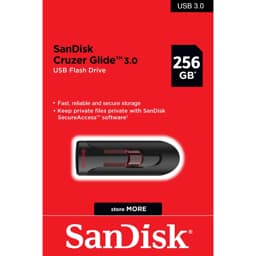 Flash SanDisk 256GB