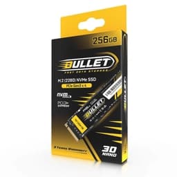 Bullet : M.2 (2280) NVMe PCIe [Gen3x4] (256GB)